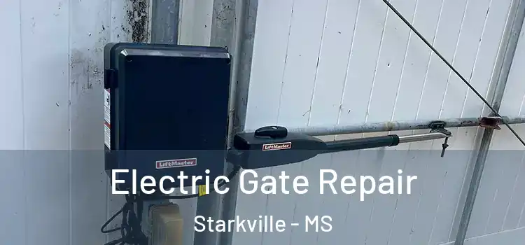 Electric Gate Repair Starkville - MS