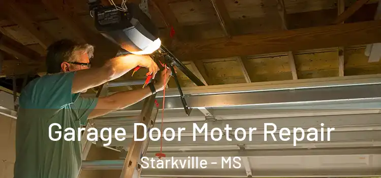  Garage Door Motor Repair Starkville - MS