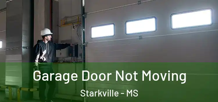  Garage Door Not Moving Starkville - MS
