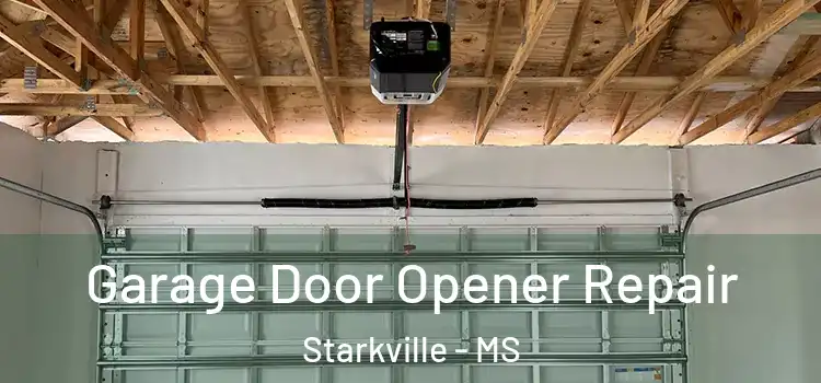  Garage Door Opener Repair Starkville - MS