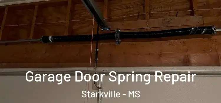  Garage Door Spring Repair Starkville - MS