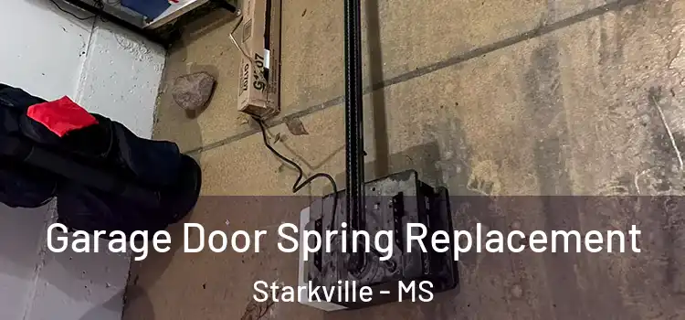  Garage Door Spring Replacement Starkville - MS