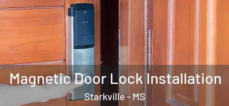  Magnetic Door Lock Installation Starkville - MS