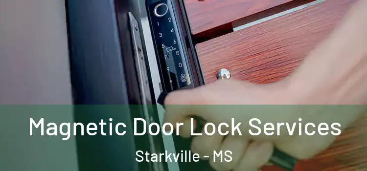 Magnetic Door Lock Services Starkville - MS