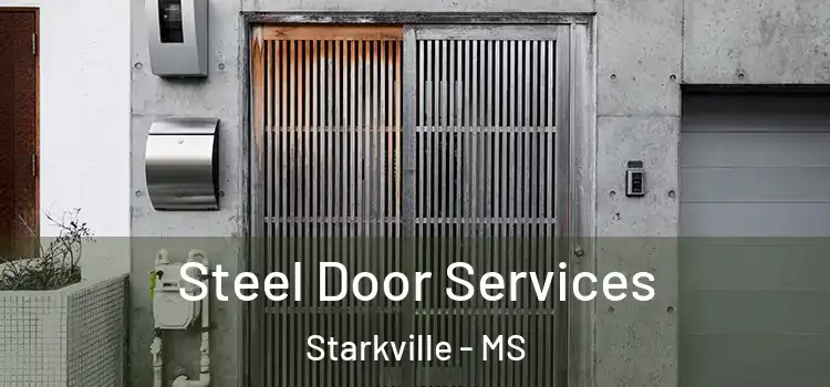 Steel Door Services Starkville - MS
